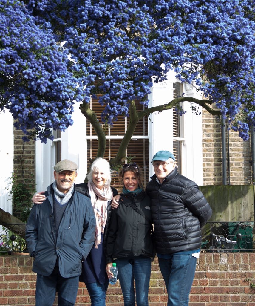 Family and Amazing Tree